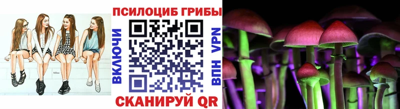 Галлюциногенные грибы Psilocybe  как найти наркотики  Котельниково 